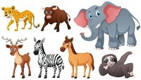 Animals - Year 7 - Quizizz