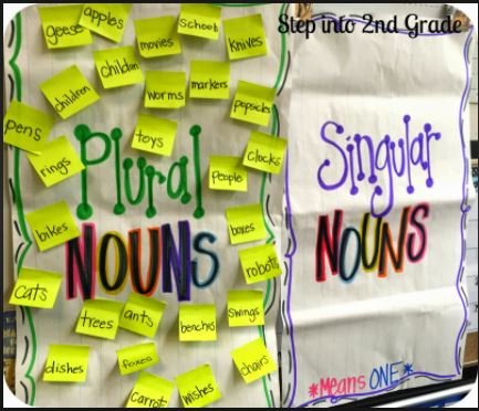 Plural Nouns - Class 7 - Quizizz