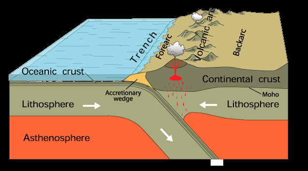 Continental Drift & Plate Tectonics | 1.3K Plays | Quizizz