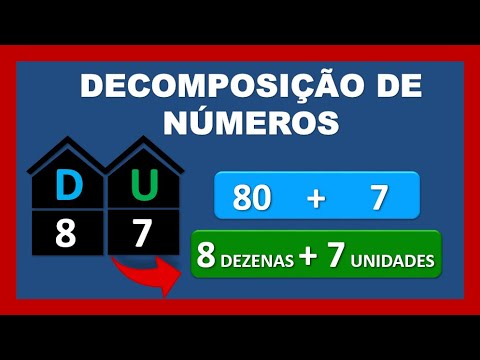 estrutura e números dos cromossomos - Série 4 - Questionário