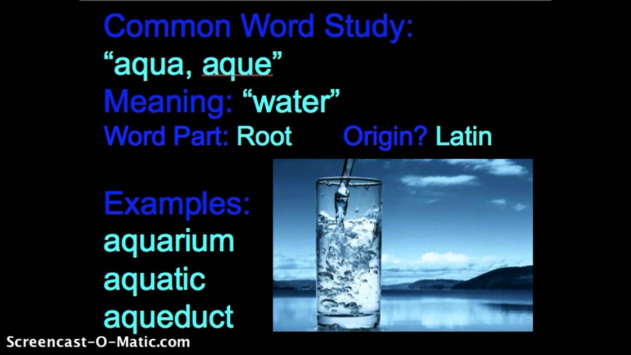 aqua-aqu-sentences-english-quizizz