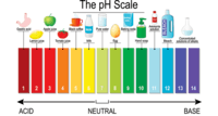 Scaled Pictographs - Year 12 - Quizizz