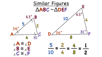 Similarity Test Review | Quizizz