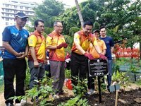 Kata Kerja Tindakan - Kelas 11 - Kuis