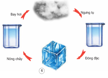 3 thể của nước: Khám phá những trạng thái cơ bản và sự chuyển đổi kỳ diệu