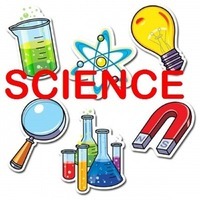 Science - Grade 7 - Quizizz
