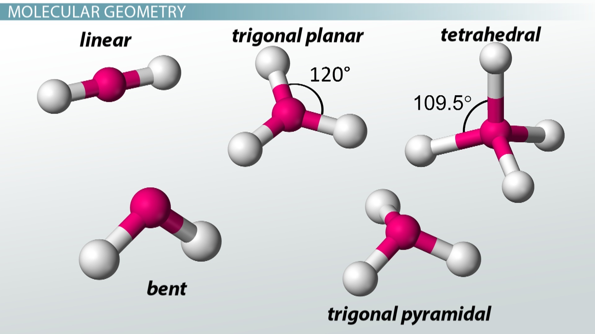 vsepr-theory-chemistry-quiz-quizizz