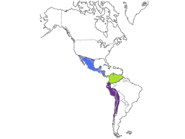 costo de oportunidad Tarjetas didácticas - Quizizz