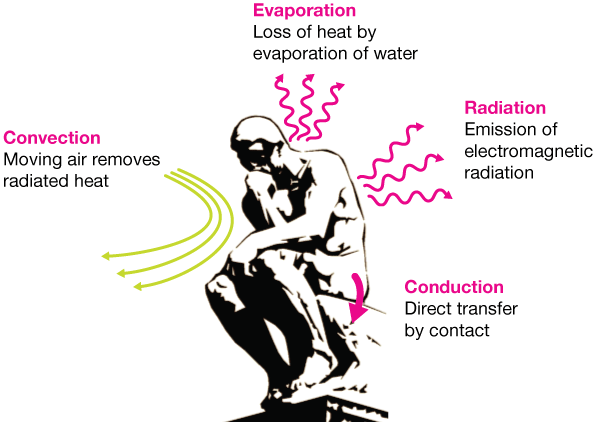 conduction-convection-radiation-warmup-science-quizizz