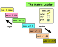 Converting Metric Units - Year 10 - Quizizz