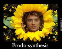 photosynthesis - Class 12 - Quizizz