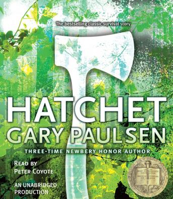 Hatchet By Gary Paulsen Comprehension Test | 110 Plays | Quizizz