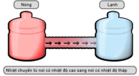 Động vật - Lớp 1 - Quizizz