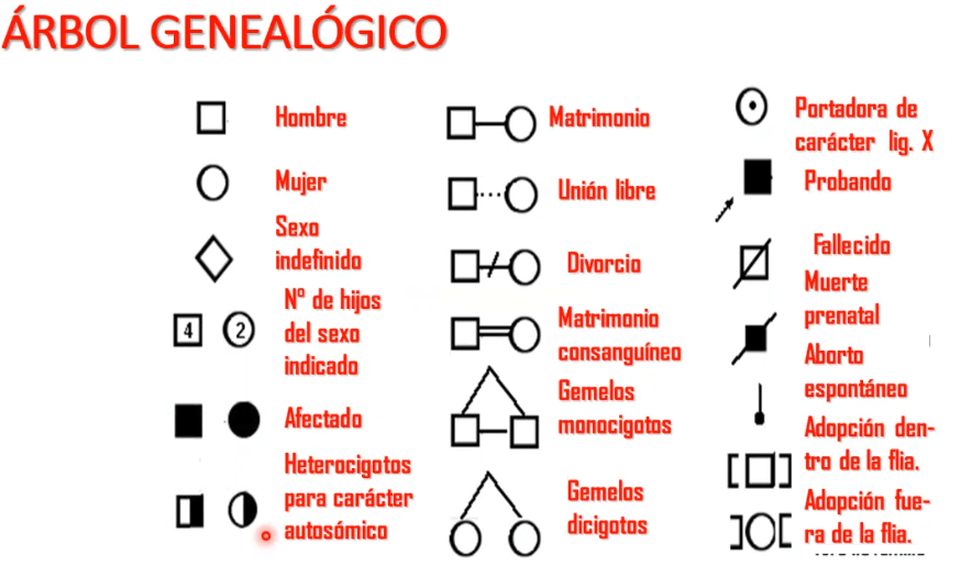 respiração celular - Série 3 - Questionário