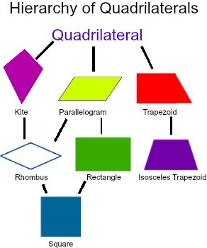 Quadrilaterals Review #2 | Arithmetic Quiz - Quizizz