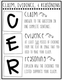 Paragraph Structure - Year 6 - Quizizz