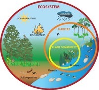 ecosystems - Class 12 - Quizizz