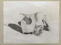 Drawing & Painting - Year 7 - Quizizz