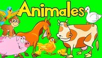 animales - Grado 9 - Quizizz