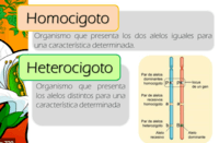 Alfabeto grego - Série 9 - Questionário