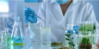 biotecnologia - Série 6 - Questionário