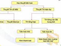 Chọn lọc tự nhiên và thích nghi - Lớp 12 - Quizizz