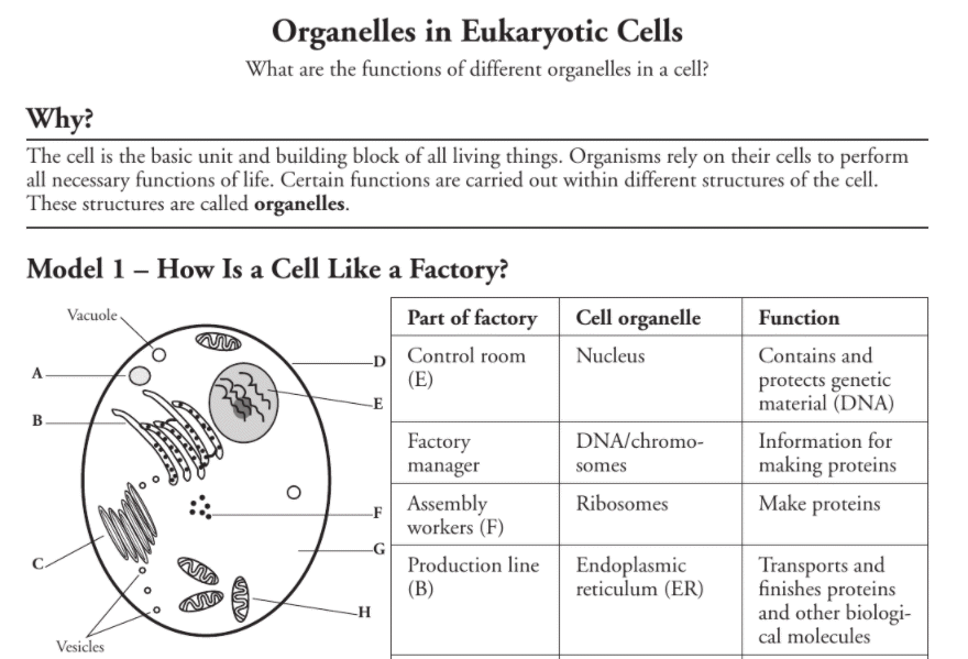 POGIL: Eukaryotic Organelles (7th) | Quizizz