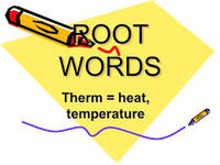 Root Words Flashcards - Quizizz