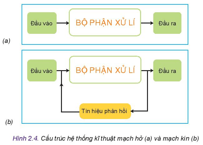 hệ thống tiêu hóa và bài tiết - Lớp 10 - Quizizz