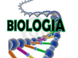 biologi perilaku - Kelas 9 - Kuis