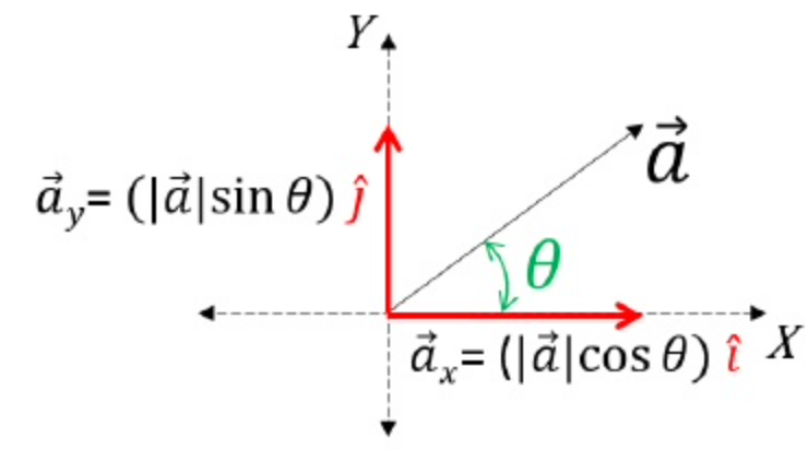 vectors - Class 11 - Quizizz