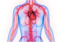 Terminología medica - Grado 10 - Quizizz