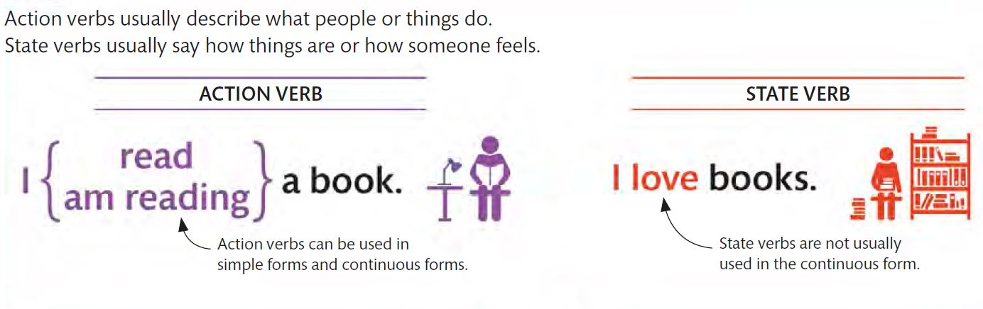 state-and-action-verbs-english-quizizz