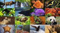 Plantas, animales y la tierra. - Grado 7 - Quizizz