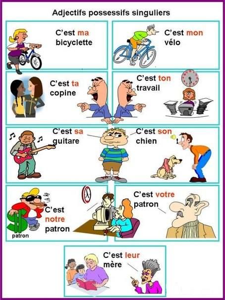 Possessive Pronouns French Quiz