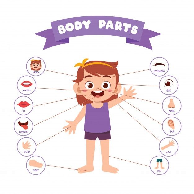 Ingles - Partes del cuerpo | English - Quizizz