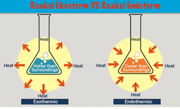 Ciri ciri reaksi eksoterm dan endoterm