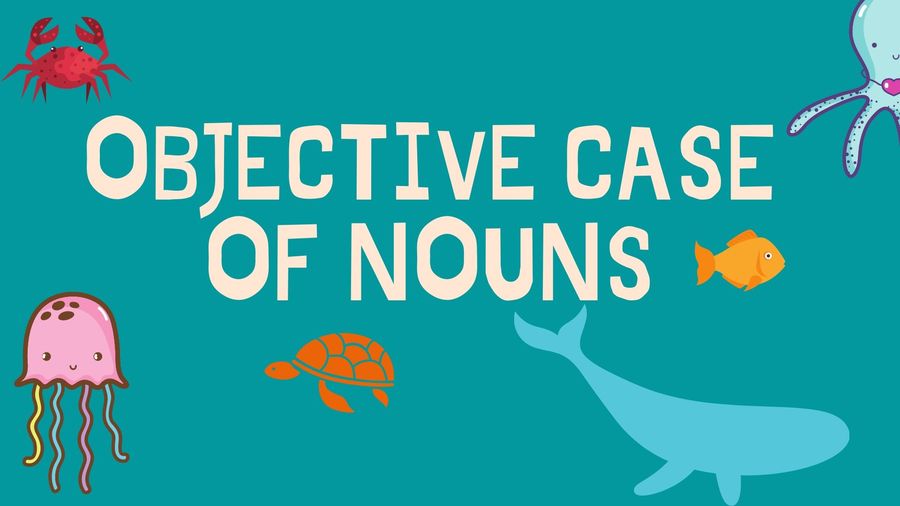 objective-case-of-nouns-english-quizizz