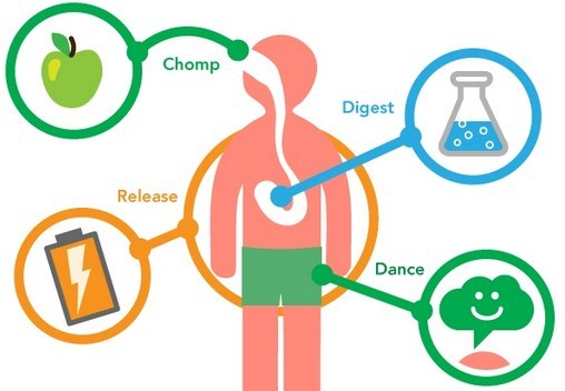 metabolism - Class 3 - Quizizz