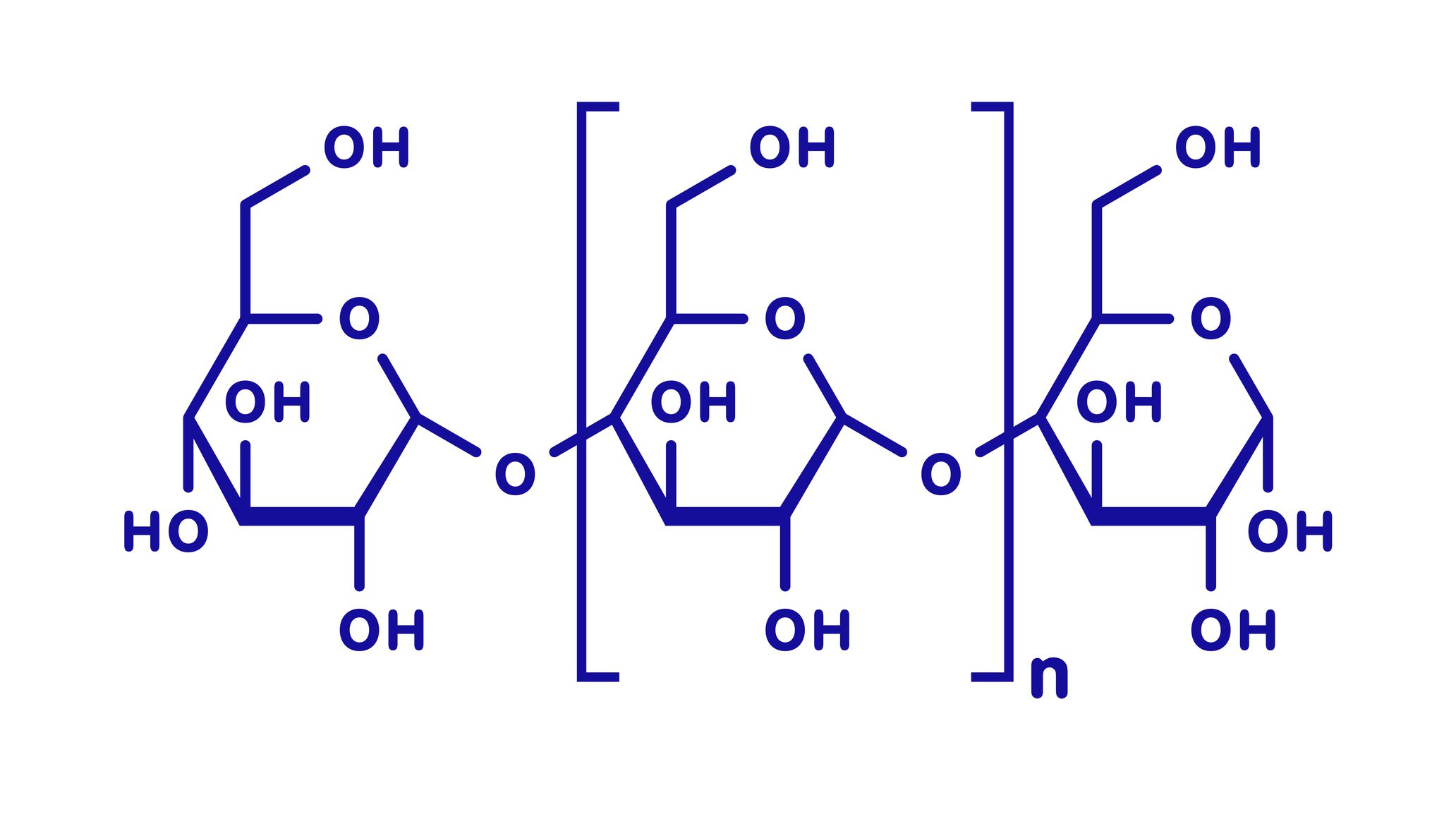 macromolecules - Grade 1 - Quizizz