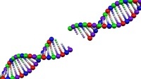 síntese de rna e proteína - Série 9 - Questionário