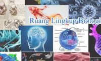 biologi manusia - Kelas 10 - Kuis