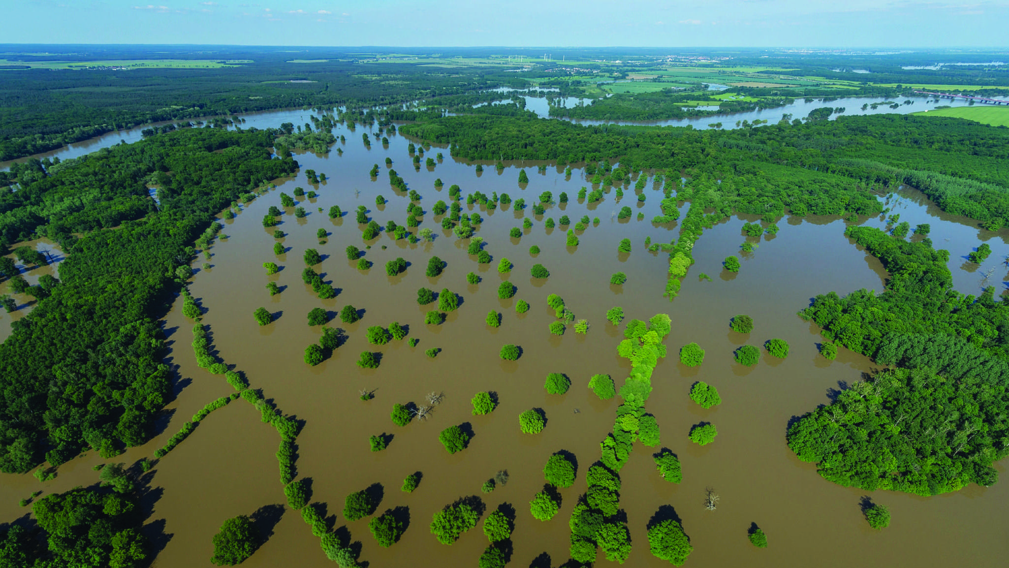 4. Rivers: Flood Management - Geography CIE IGCSE | 75 Plays | Quizizz