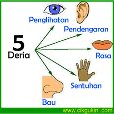 Sains Tahun 3 Kemahiran Proses Sains Memerhati Mengelas Lessons Blendspace