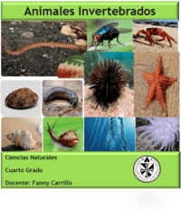 animales - Grado 4 - Quizizz