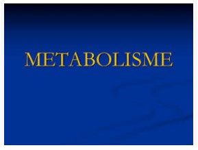 metabolisme Kartu Flash - Quizizz