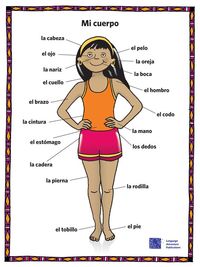 ASD 1 Ch 6 Body Parts Spanish Quiz Quizizz