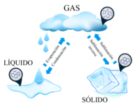 sólidos líquidos y gases - Grado 7 - Quizizz