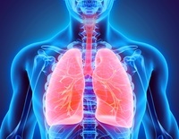 the circulatory and respiratory systems - Year 11 - Quizizz