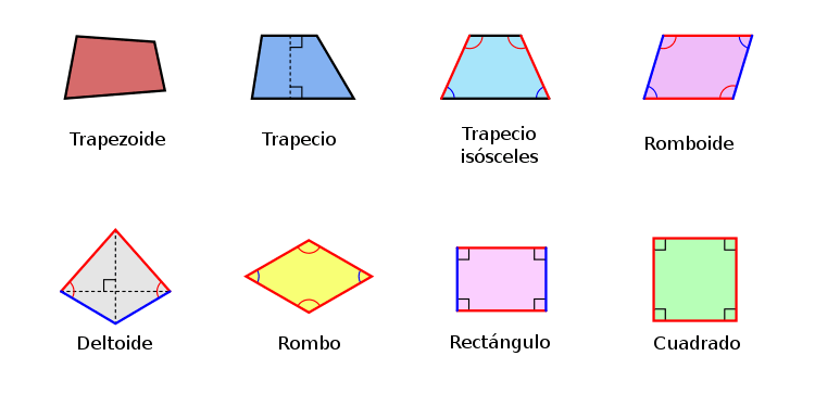 Cuadriláteros - Grado 3 - Quizizz